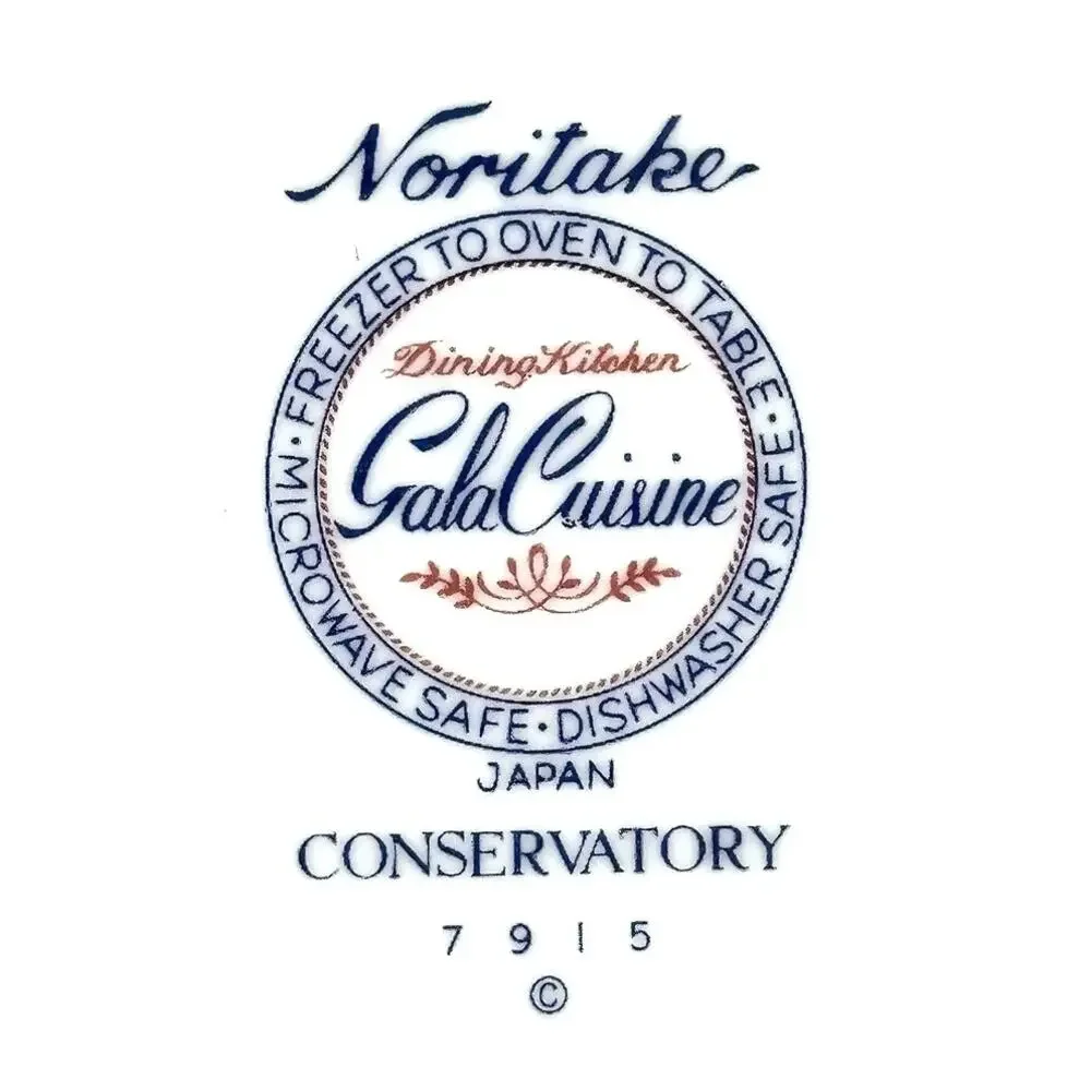 Noritake Conservatory Gala Cuisine 7915 Japan Soup/Pasta Bowls-Excellent!